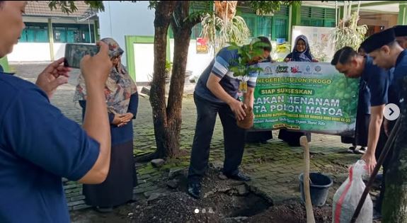 Laksanakan Program Ekoteologi, MTsN 6 Kulon Progo Sukseskan Gerakan Penanaman 1 Juta Pohon Matoa